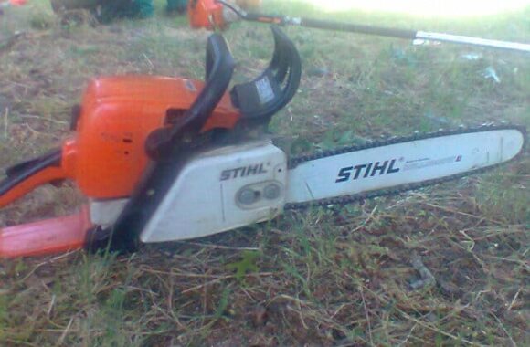 topclimbingtreefellers (5)